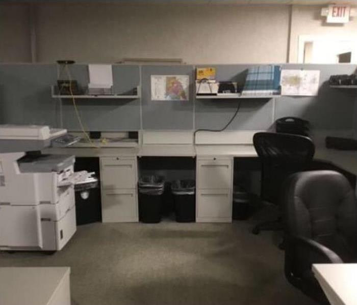 office space with grey carpeting and desk with trash cans underneath them and black chairs. Printer on the side of the room.