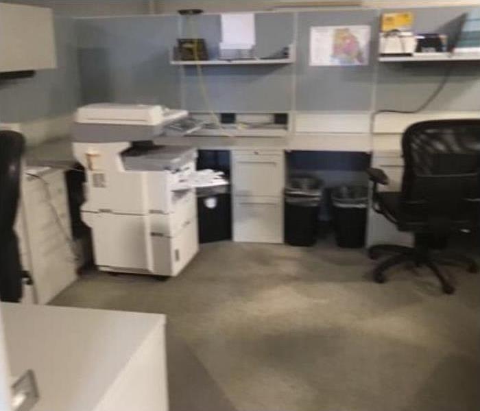 office space with grey carpeting and desk with trash cans underneath them and black chairs. Printer on the side of the room.