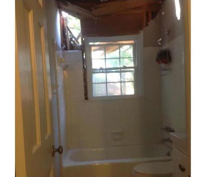 bathroom with insulation picked up and back into the ceiling. Windows and shower.
