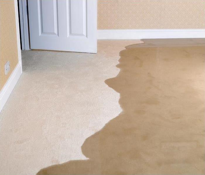 wet carpeting on khaki tan floor with yellow wall paper and an open door.