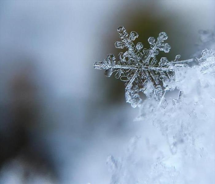 snow flake focused on while the background is unfocused